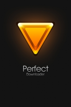 Perfect Downloader